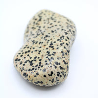 Dalmatian Jasper Free-Form