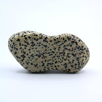 Dalmatian Jasper Free-Form
