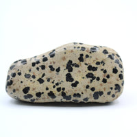 Dalmatian Jasper Free-Form