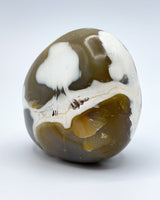 Freeform Polished Orca Agate Specimen