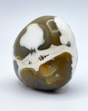 Freeform Polished Orca Agate Specimen