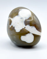 Freeform Polished Orca Agate Specimen
