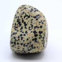 Dalmatian Jasper Free-Form