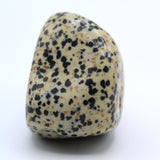 Dalmatian Jasper Free-Form