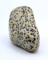 Dalmatian Jasper Free-Form