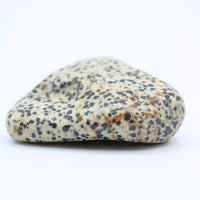 Dalmatian Jasper Free-Form