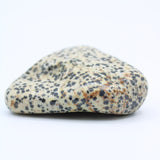 Dalmatian Jasper Free-Form
