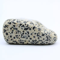 Dalmatian Jasper Free-Form
