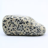 Dalmatian Jasper Free-Form