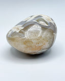 Freeform Polished Orca Agate Specimen