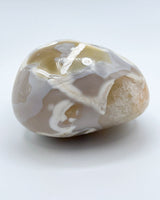 Freeform Polished Orca Agate Specimen