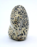 Dalmatian Jasper Free-Form
