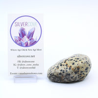 Dalmatian Jasper Free-Form