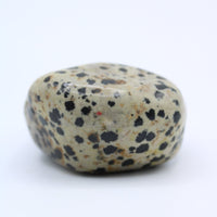 Dalmatian Jasper Free-Form