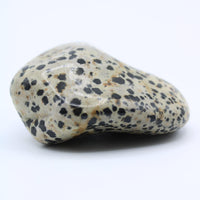 Dalmatian Jasper Free-Form
