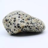 Dalmatian Jasper Free-Form