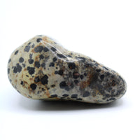 Dalmatian Jasper Free-Form