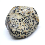 Dalmatian Jasper Free-Form