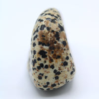Dalmatian Jasper Free-Form