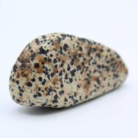 Dalmatian Jasper Free-Form
