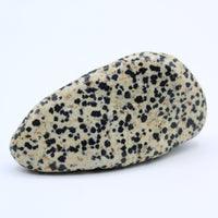 Dalmatian Jasper Free-Form
