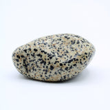 Dalmatian Jasper Free-Form