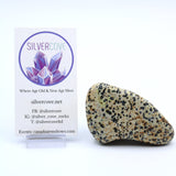 Dalmatian Jasper Free-Form