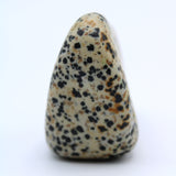 Dalmatian Jasper Free-Form