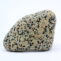 Dalmatian Jasper Free-Form