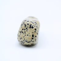 Dalmatian Jasper Free-Form