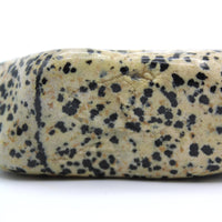 Dalmatian Jasper Free-Form