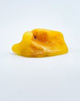 Polished Baltic Amber Specimen