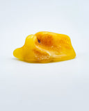 Polished Baltic Amber Specimen
