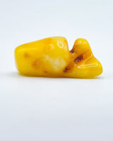 Polished Baltic Amber Specimen