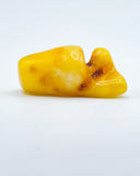 Polished Baltic Amber Specimen