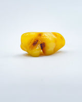 Polished Baltic Amber Specimen