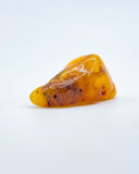 Polished Baltic Amber Specimen