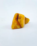 Polished Baltic Amber Specimen