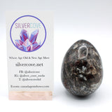 Canadian Staurolite, Garnet, Mica Schist Egg