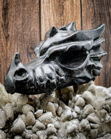 Astrophyllite Dragon Head