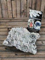 Bulgarian Galena and Quartz