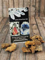 Whitecourt Meteorite Specimens
