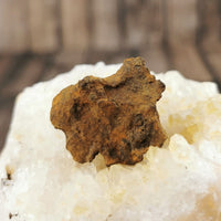 Whitecourt Meteorite Specimens