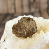 Whitecourt Meteorite Specimens