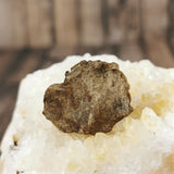 Whitecourt Meteorite Specimens