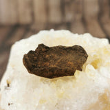 Whitecourt Meteorite Specimens
