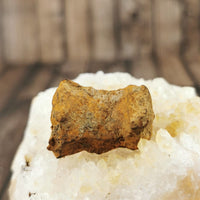 Whitecourt Meteorite from Canada