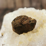 Whitecourt Meteorite Specimens