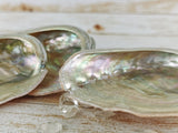 Abalone Shell