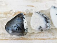 Dendritic Agate in Common Opal Cabochons